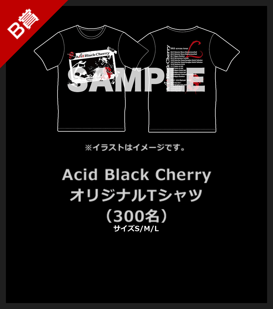 B賞 Acid Black Cherry オリジナルTシャツ(300名)